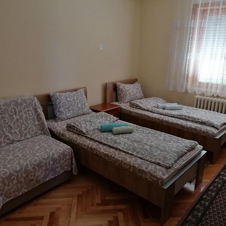 Vila Marko Niska Banja Exterior foto