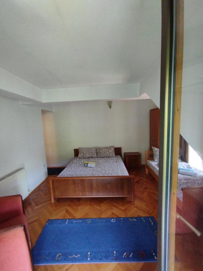 Vila Marko Niska Banja Exterior foto